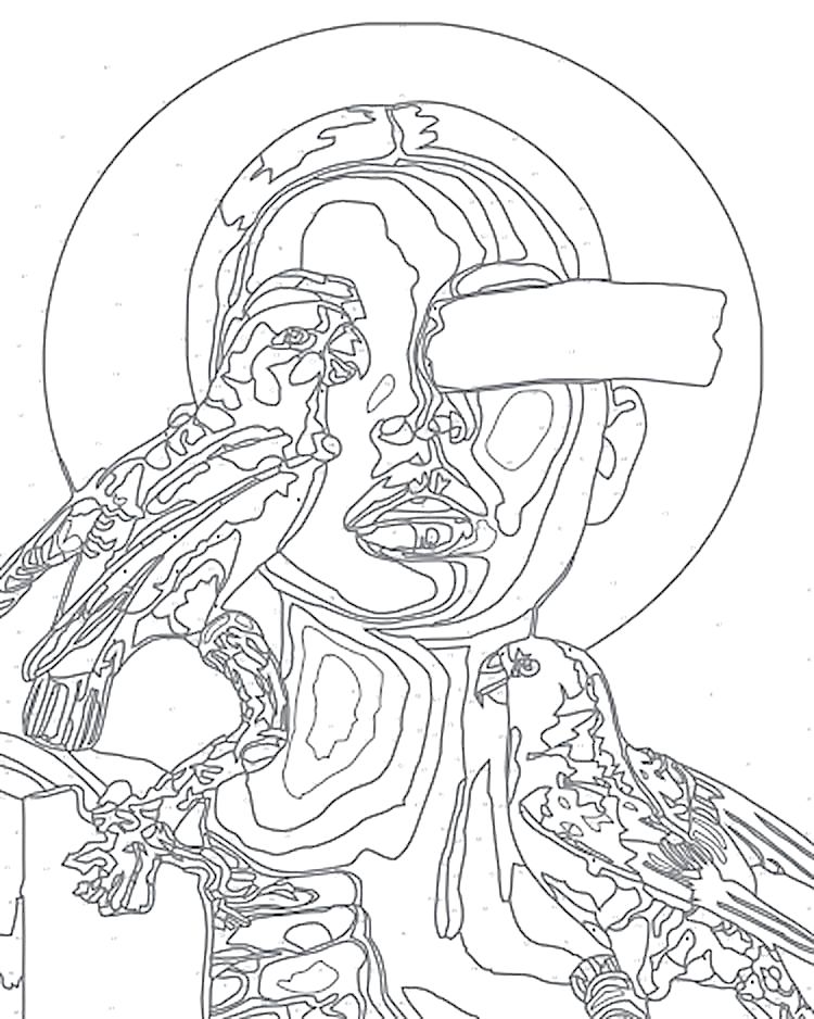 Картина по номерам «Девушка и попугаи» — картинка 2