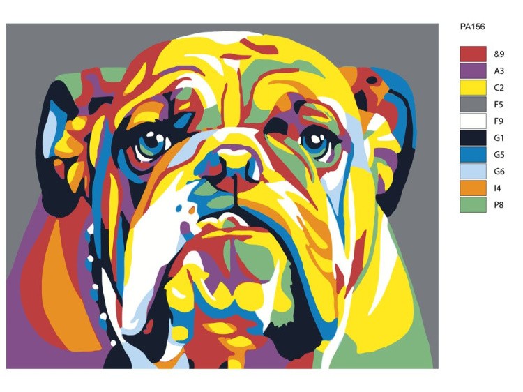 Картина по номерам «Английский бульдог» — картинка 2