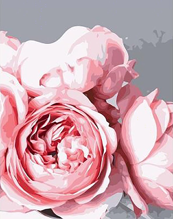 Картина по номерам «Розовые пионы»