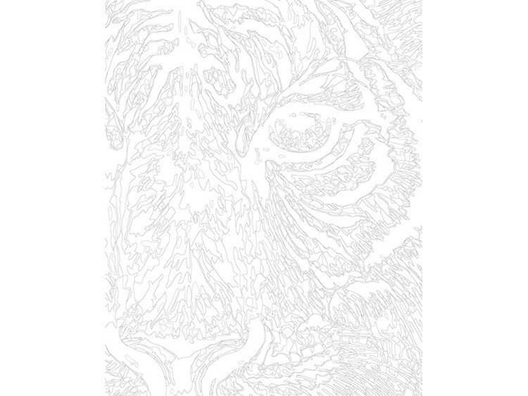 Картина по номерам «Сильный» — картинка 3