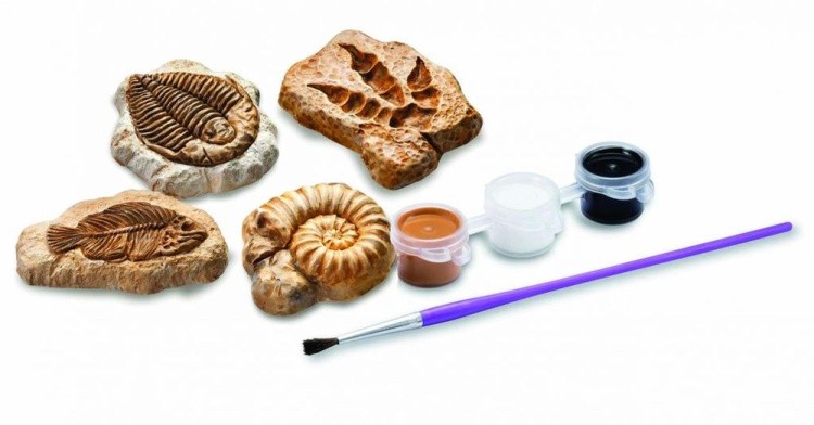 Набор юного палеонтолога «Палеонтологический музей» — картинка 6