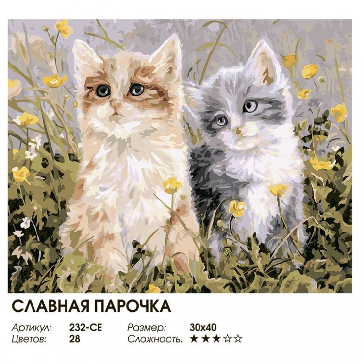 Картина по номерам «Славная парочка» — картинка 2