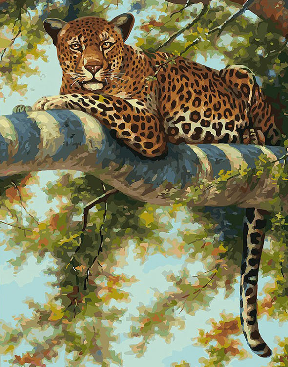 Картина по номерам «Леопард в тени ветвей»