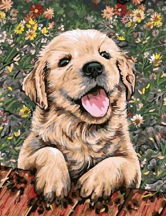 Картина по номерам «Веселый щенок»