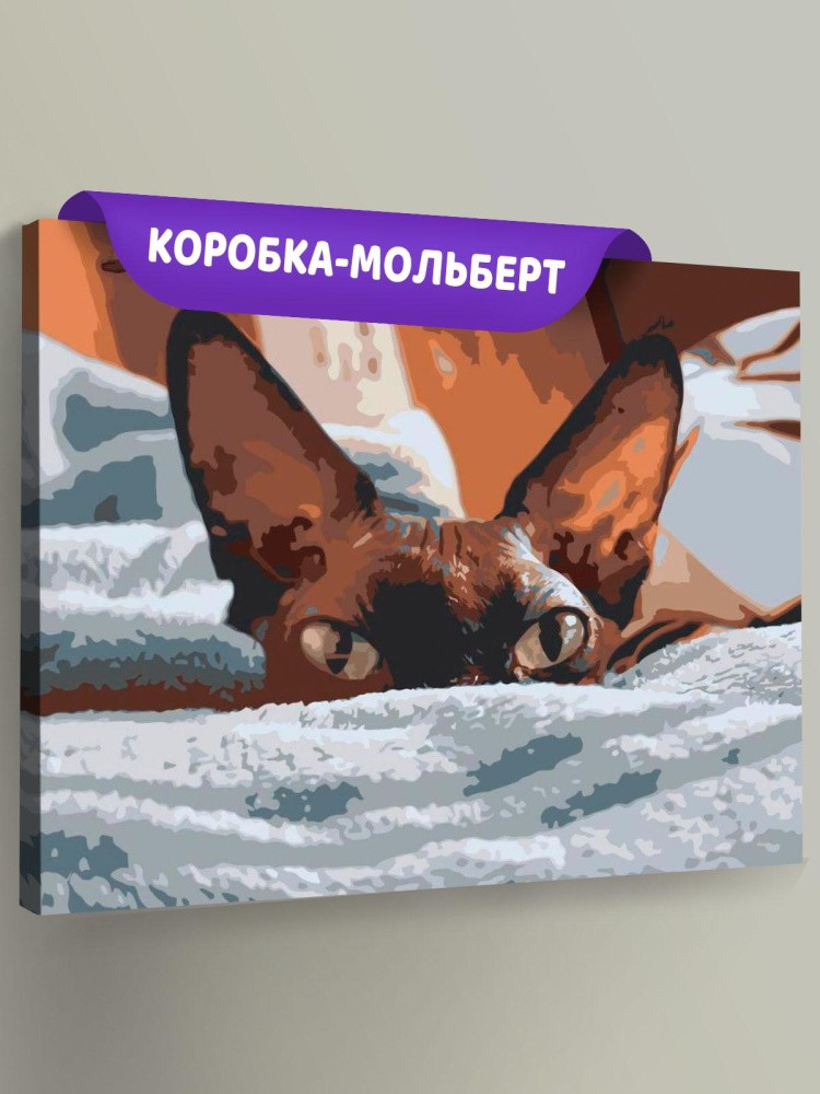 Картина по номерам «Канадский сфинкс»