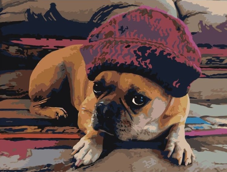 Картина по номерам «Собака в шапке»