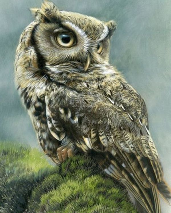 Алмазная вышивка «Серьезный взгляд» — картинка 2