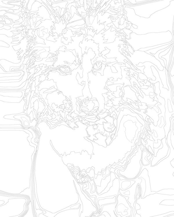 Картина по номерам «Милый пес» — картинка 3