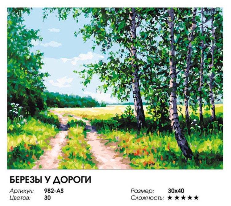 Картина по номерам «Березы у дороги» — картинка 2