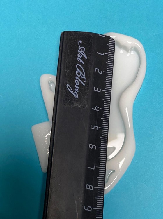 Молд №484 Брошь Лев (7,8 см), Art Blong — картинка 4