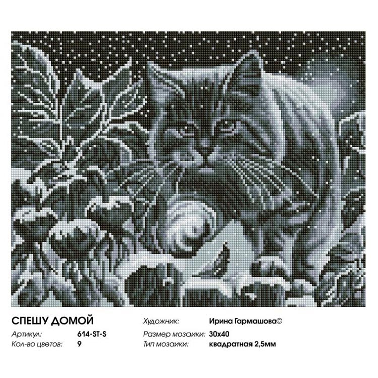 Алмазная вышивка «Спешу домой» — картинка 2