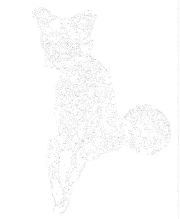 Картина по номерам «Мем: грустная лиса» — картинка 3