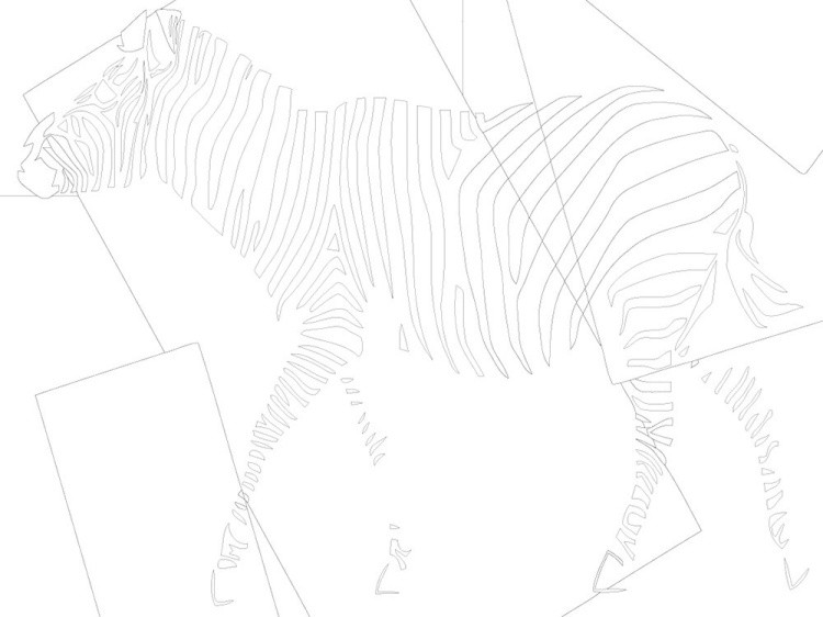 Картина по номерам «Поп-арт зебра» — картинка 3