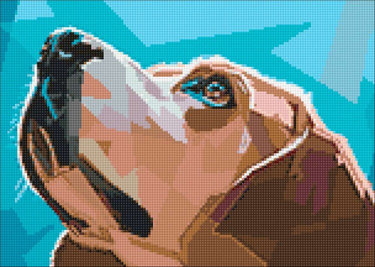 Алмазная вышивка «Наблюдательный пес» — картинка 2