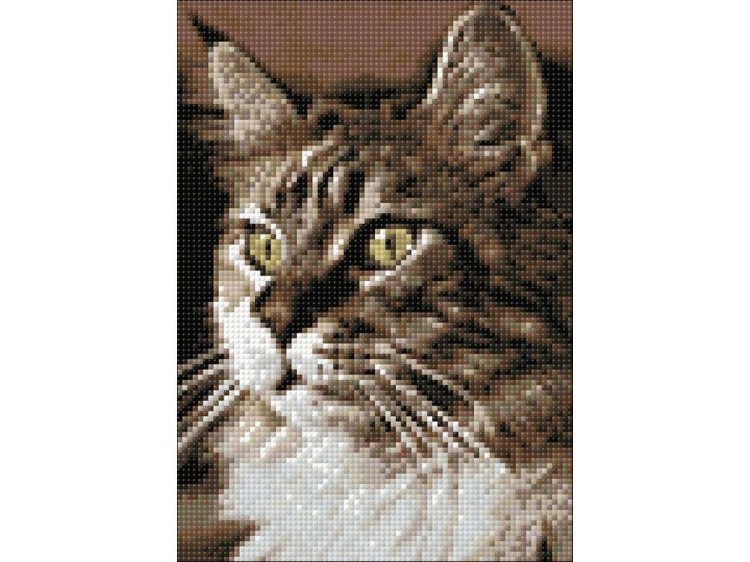 Алмазная вышивка «Домашний кот» — картинка 3