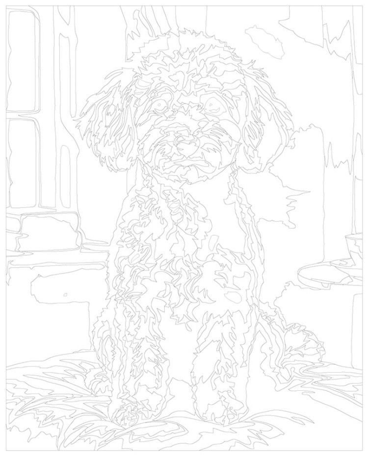 Картина по номерам Собака милый той пудель в комнате — картинка 3