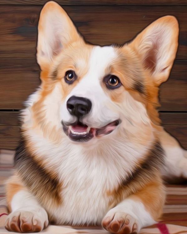 Алмазная вышивка «Корги» — картинка 2