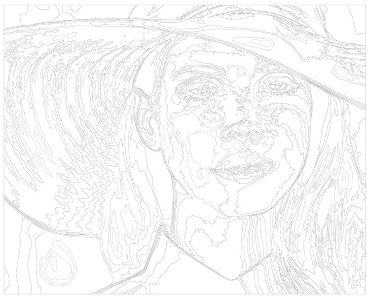 Картина по номерам «Lana Del Rey Лана Дель Рей: В шляпе 2» — картинка 3