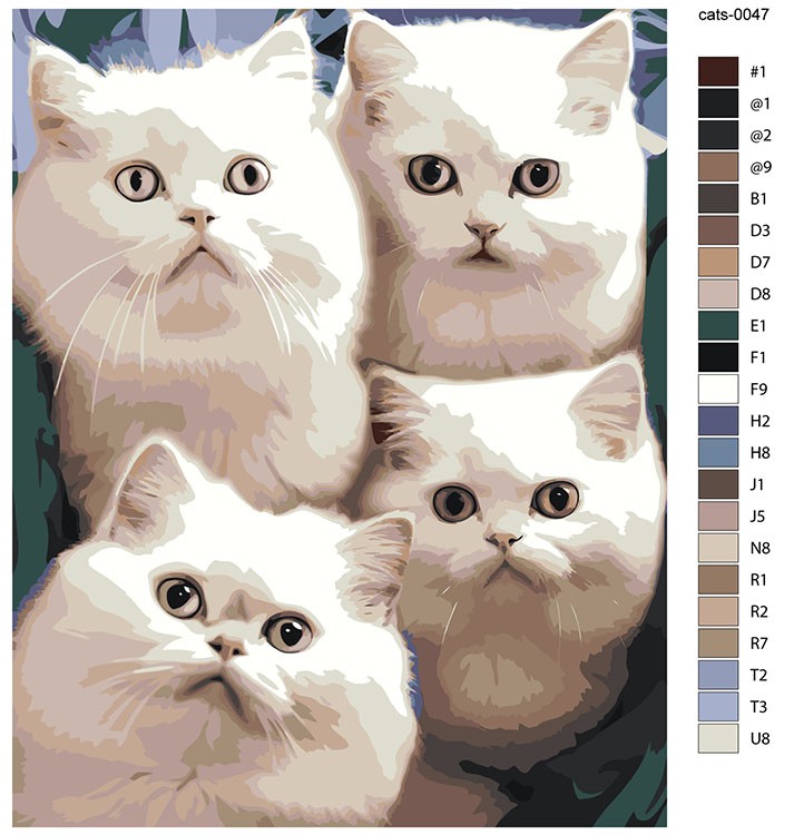 Картина по номерам «Четыре белых кота» — картинка 2