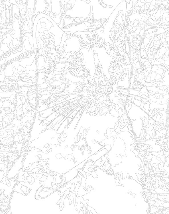 Картина по номерам «Мемы: Черный кот точит когти, Сабрина» — картинка 3