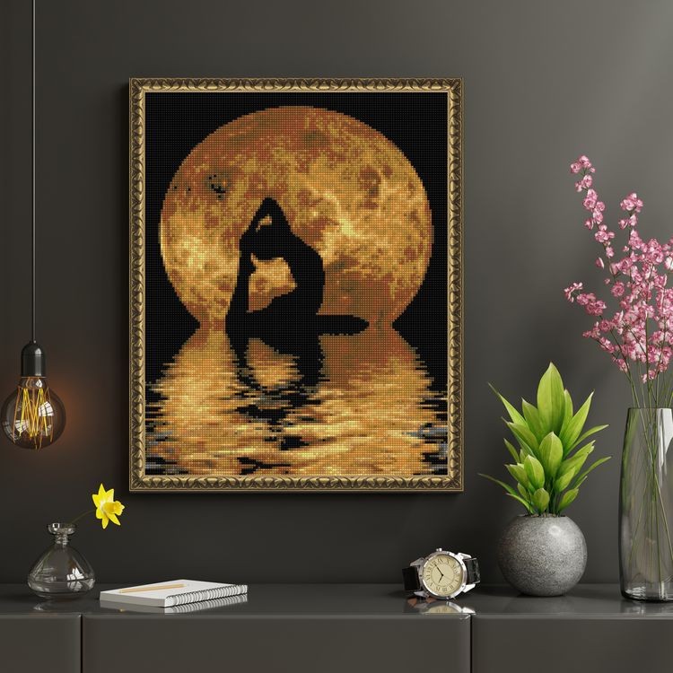 Алмазная вышивка «Лунный фитнес» — картинка 5