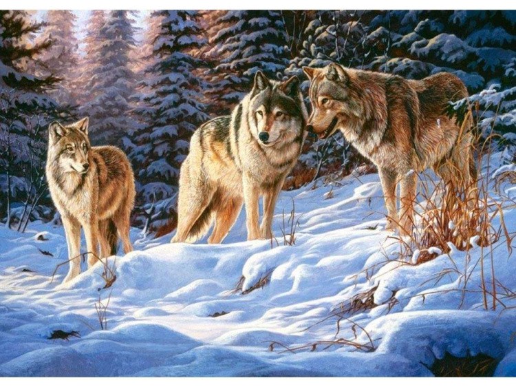 Пазлы «Волки»