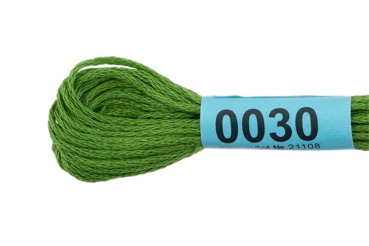 Нитки для вышивания Gamma мулине, 24 шт. по 8 м, цвет: 0030 травяной