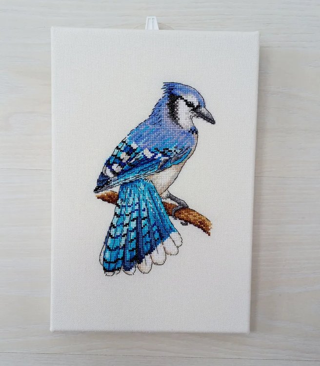 Набор для вышивания «Голубая сойка» — картинка 2