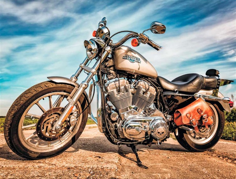 Алмазная вышивка «Harley-Davidson Sportster»