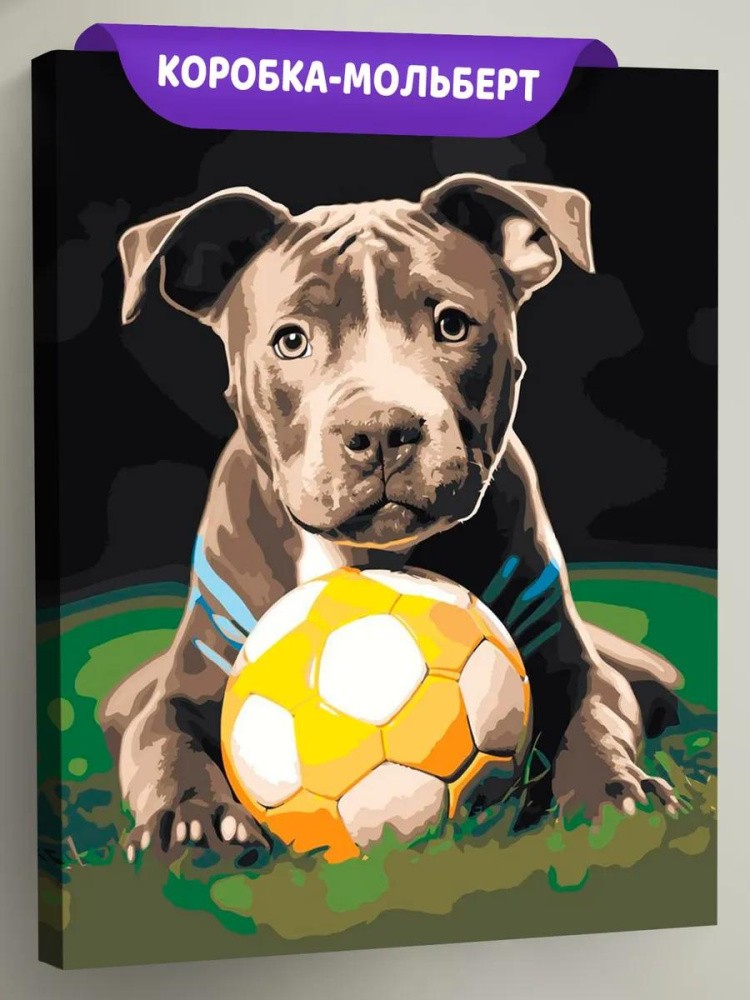 Картина по номерам «Собака Стаффорд (Стаффордширский терьер) щенок»