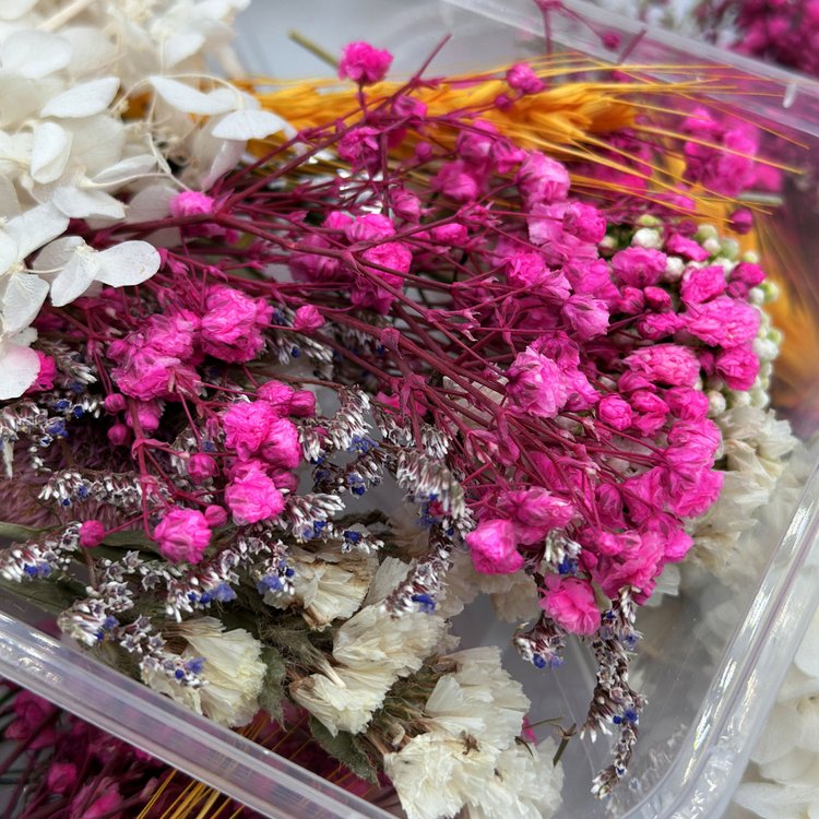 Набор сухоцветов №3, 1 упаковка — картинка 2