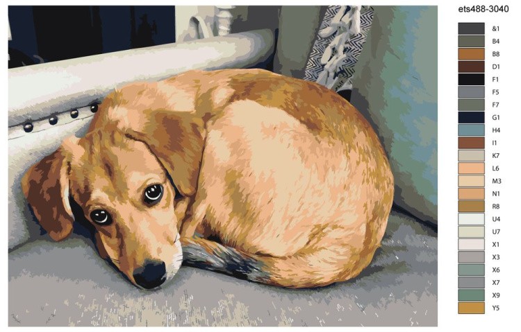 Картина по номерам «Грустный пес» — картинка 2