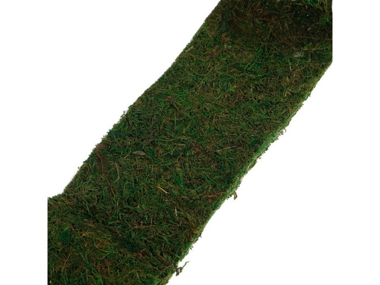 Лента из натурального мха 1,6 м, цвет: зеленый 1 шт., Blumentag — картинка 2