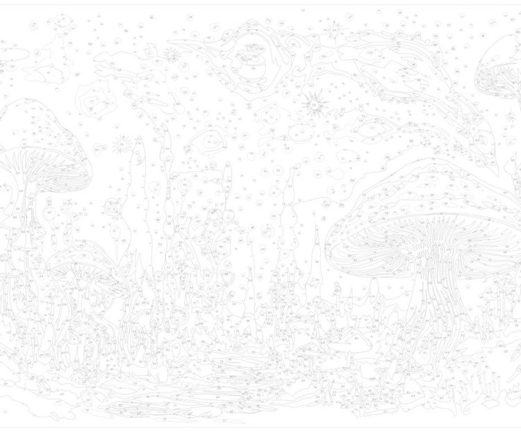 Картина по номерам «Сказочный лес» — картинка 3