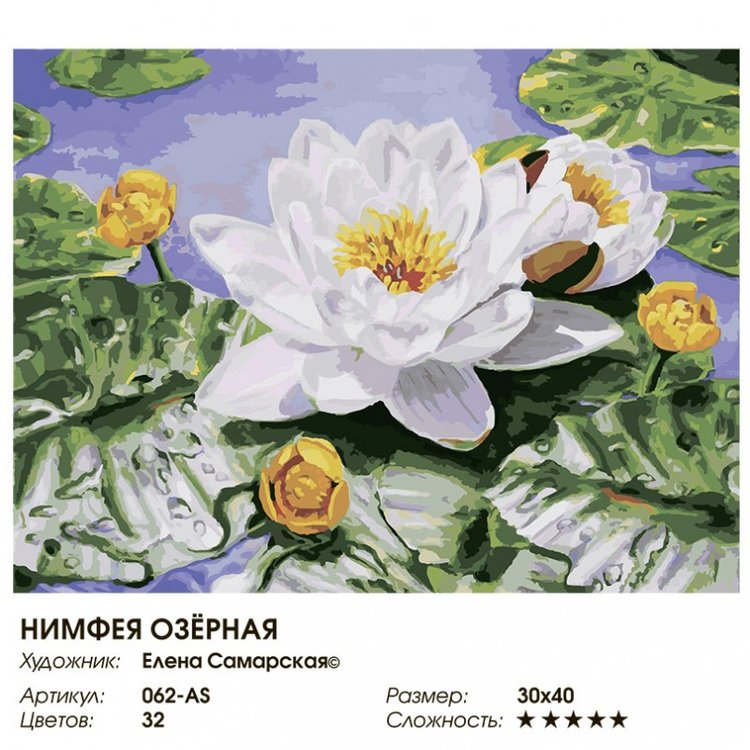 Картина по номерам «Нимфея озерная» Елены Самарской — картинка 2