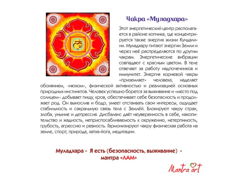 Картина по номерам «Чакра Муладхара» — картинка 4