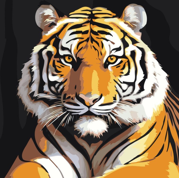Картина по номерам «Благородный тигр»