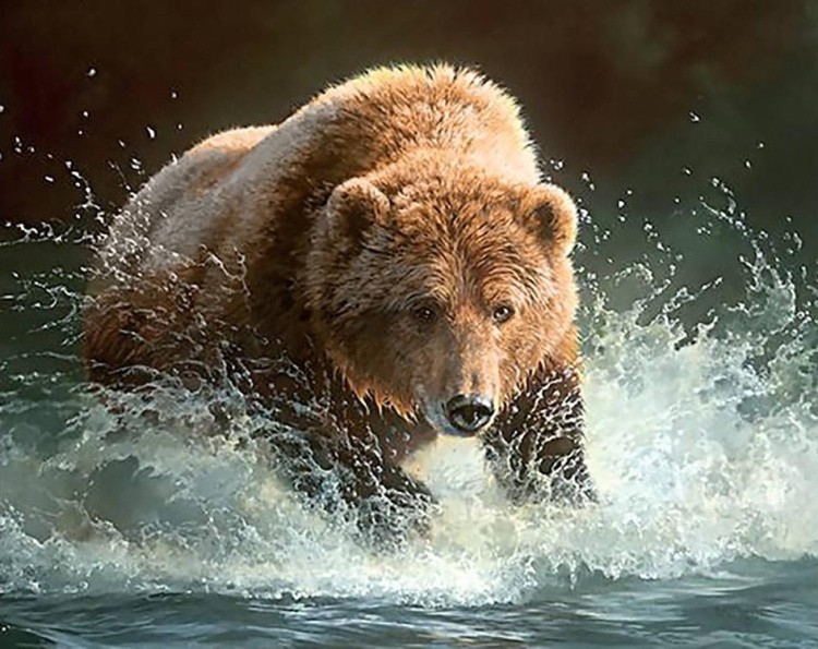 Алмазная вышивка «Медведь на рыбалке»