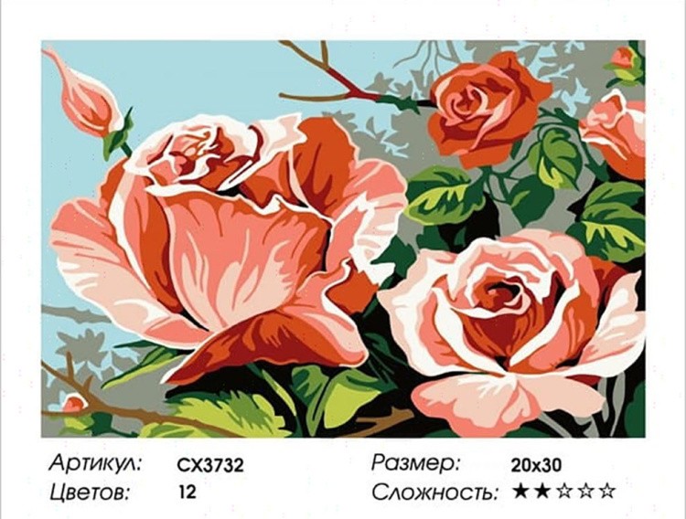 Картина по номерам «Кремовые розы» — картинка 2