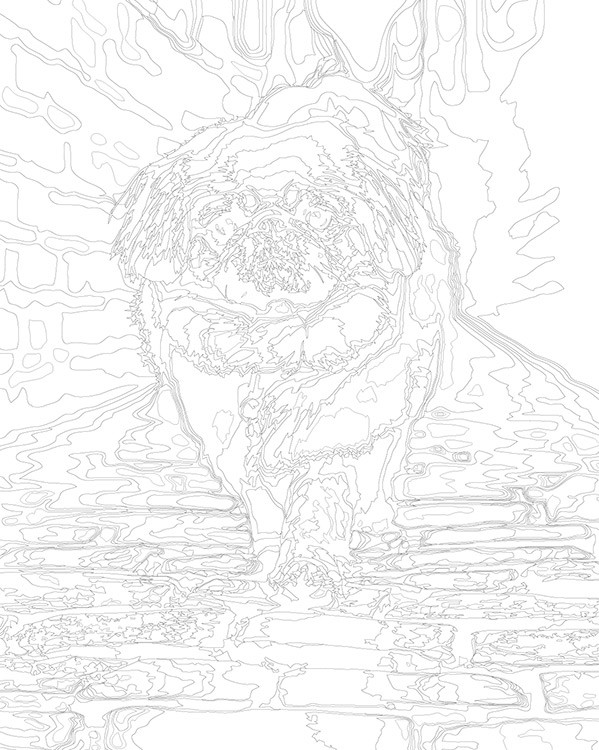 Картина по номерам «Собака Пекинес гуляет по городу» — картинка 3