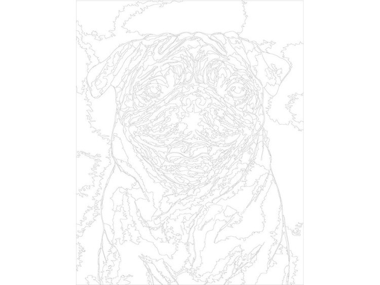 Картина по номерам «Мопс» — картинка 3