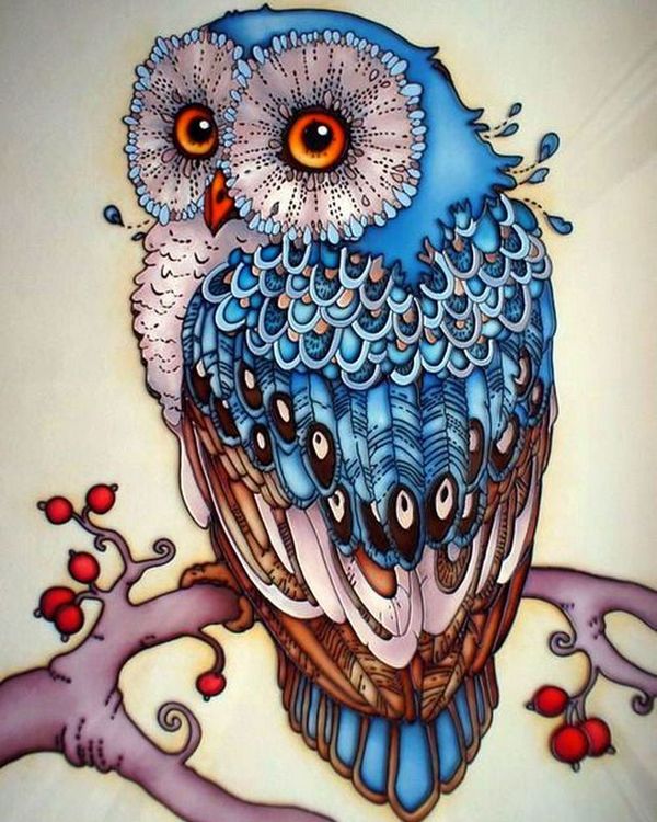 Алмазная вышивка «Прекрасная сова» — картинка 2