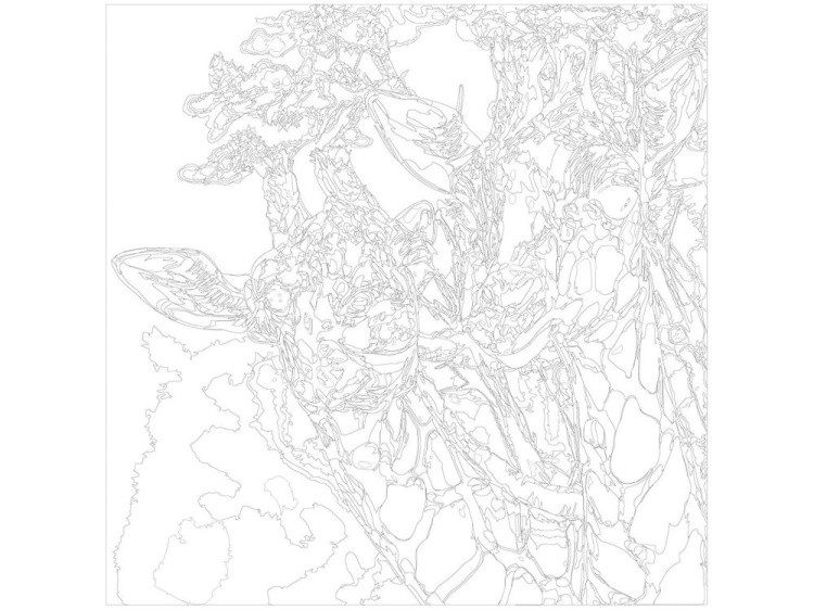 Картина по номерам «Жирафы» — картинка 3