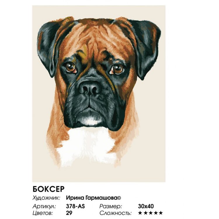 Картина по номерам «Боксер» — картинка 2