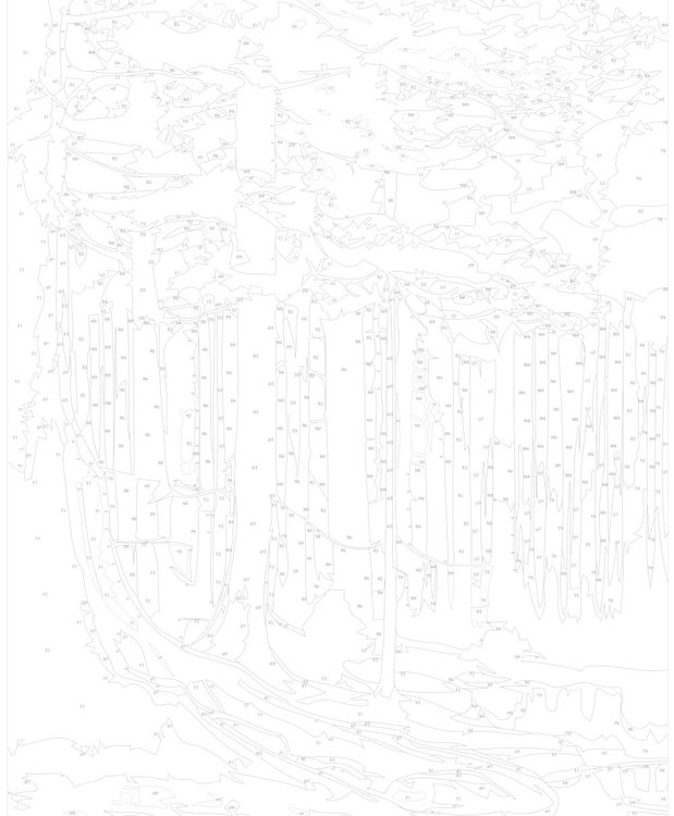 Картина по номерам «Осенний лес» — картинка 3