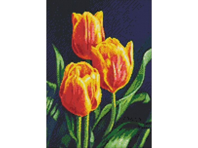 Алмазная вышивка «Тюльпанов цвет» — картинка 2