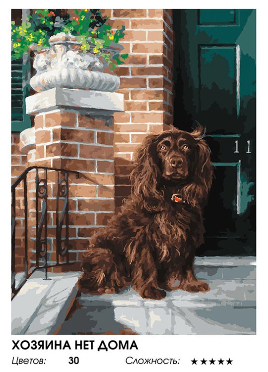 Картина по номерам «Хозяина нет дома» — картинка 2