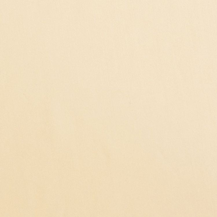 Ткань трикотажная Бифлекс Премиум матовый, 6 м, ширина 169 см, 215 г/м², цвет: 04 бежевый, TBY — картинка 3