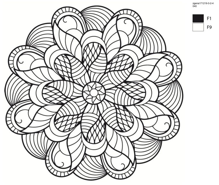 Картина по номерам «Цветочный узор» — картинка 2