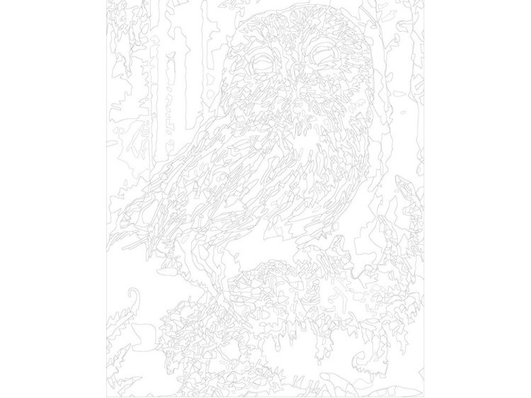 Картина по номерам «Сова на ветке» — картинка 3